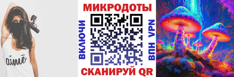 Псилоцибиновые грибы Magic Shrooms  mega tor  Северобайкальск 