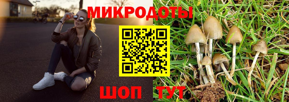 Галлюциногенные грибы GOLDEN TEACHER  где можно купить наркотик  Северобайкальск  Вход с VPN 