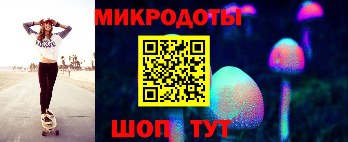Галлюциногенные грибы Psilocybe Северобайкальск